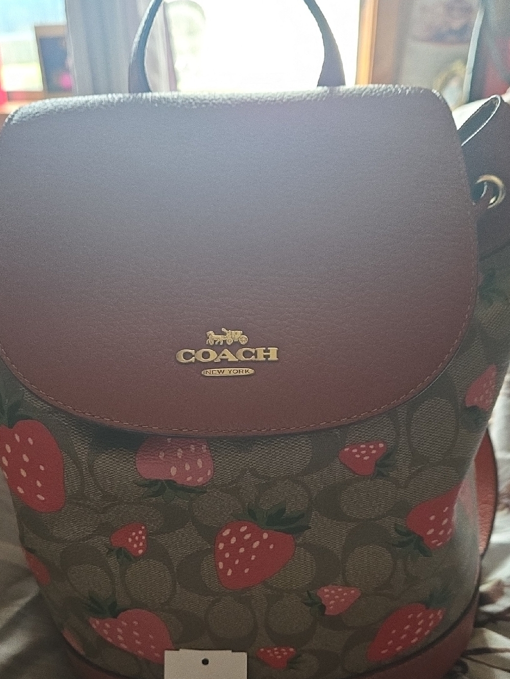 COACH Strawberry Signature  Backpack - Red/Brown
